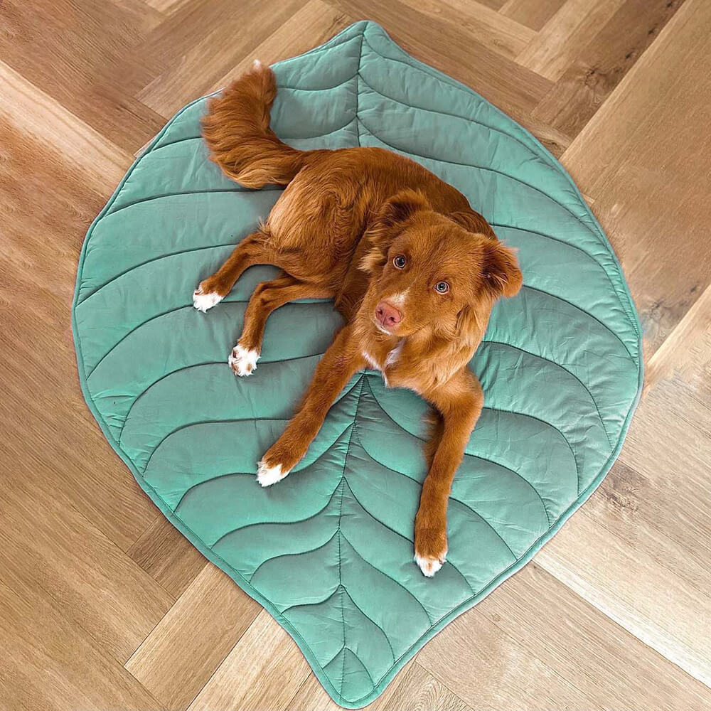 PETLOOM Leaf Shape Dog Blanket™