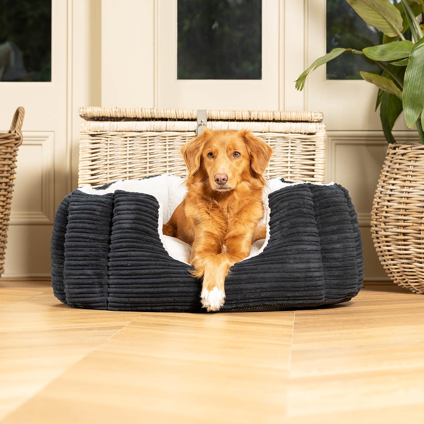 PETLOOM High Wall Plush Dog Bed™
