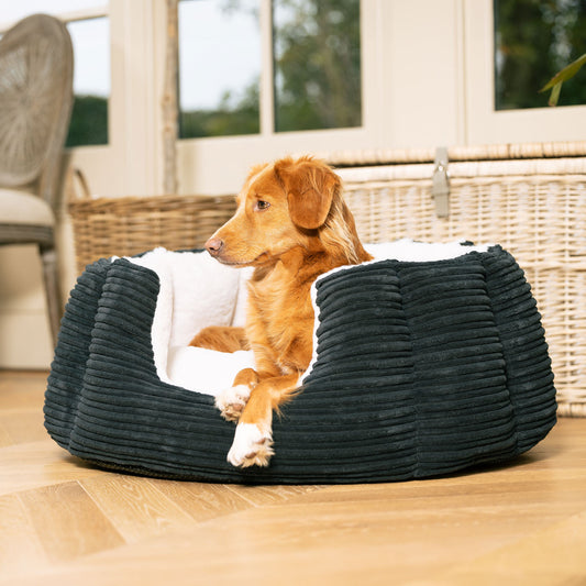 PETLOOM High Wall Plush Dog Bed™